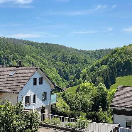 Holiday home Platell Ferienhaeuser Harz Wieda Walkenried