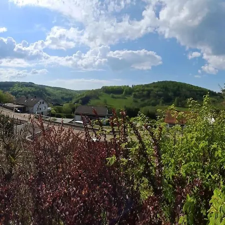 Platell Ferienhaeuser Harz Wieda Walkenried