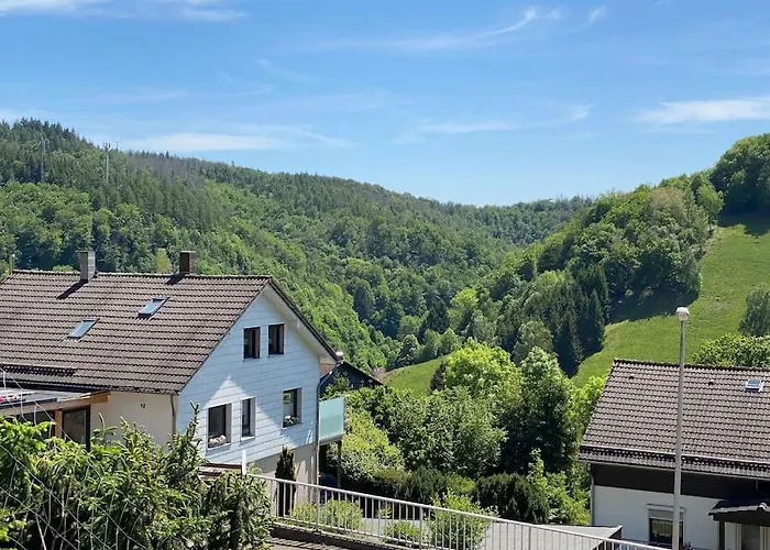 Nyaraló Platell Ferienhaeuser Harz Wieda Walkenried